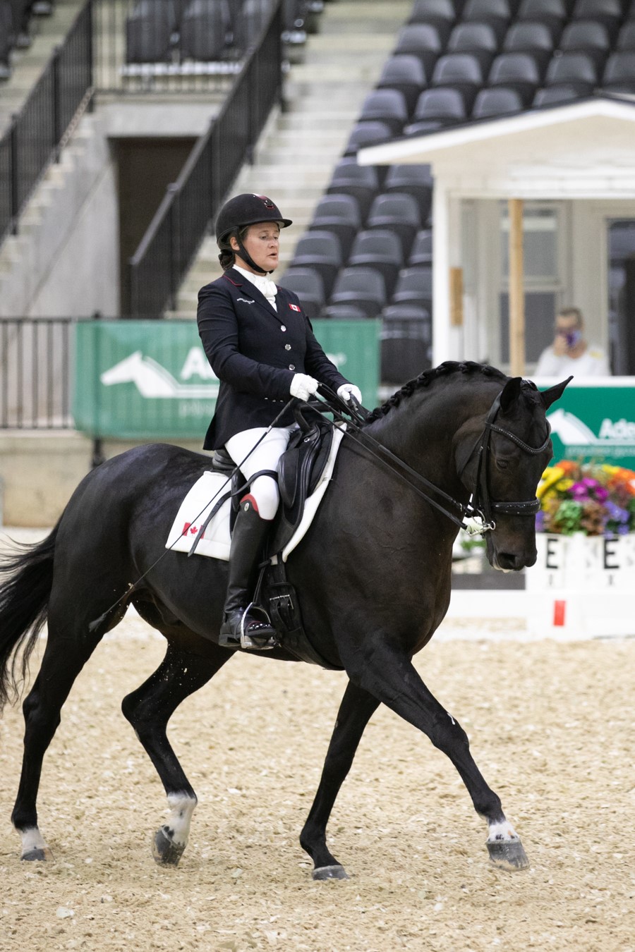 Lauren Barwick and Sandrino Knock It Out of the Park at the Tryon Fall Dressage 3 CPEDI 3*